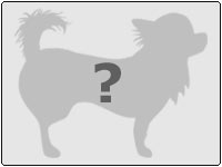 ���f����