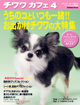 �`�����J�t�F4