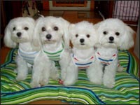 SAM����SORA����RIKU����KAI����