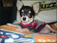 �o�Y�����