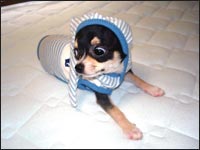 �o�Y�����