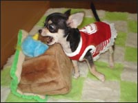 �o�Y�����