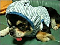 �r�b�V������