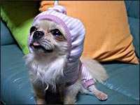 �{������