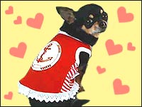 �`�b�v�����