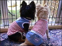 �`���R���񁕂��������