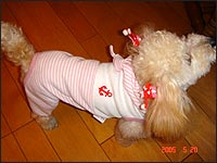 �t���������