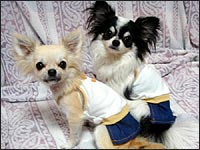 ���~����񁕏��������