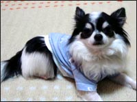 ���~����񁕏��������