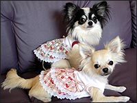 ���~����񁕏��������