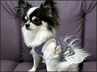 ���~�����