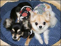 ���~����񁕃��C�`�����