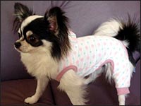 ���~�����