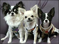 ���~����񏬔������z�����