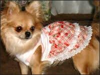 �����N���~�����