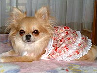 �����N���~�����