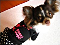 ����݂����