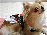 ����݂����