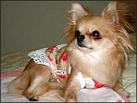 ����݂����