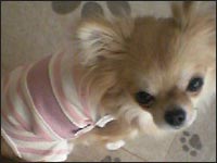 ����݂����