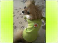 ����݂����