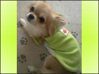 ����݂����