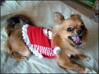 ����݂����