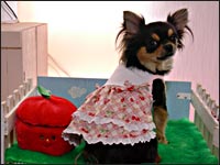 ����邿���