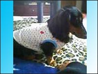 �}������