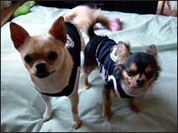 �܂�񂭂񁕂��Ƃނ���