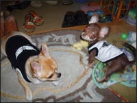 �}�������񁕃��������