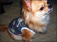 �}�����N