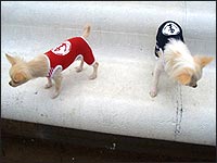 �~�[�V������񁕂܂���N