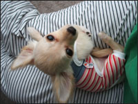 �p�I����