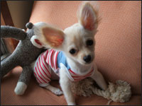 �p�I����