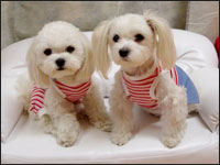 RIKU����MOCA�����