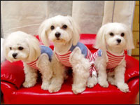 RIKU����SAM����SORA����