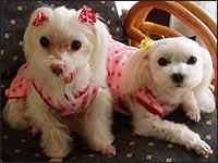 ����������񁕂��񂸂����