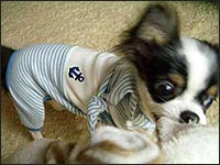 �e�B���N����