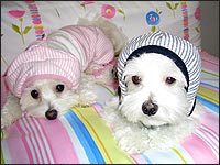 �r�r���񁕃l�l�����