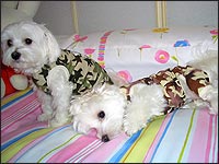 �r�r���񁕃l�l�����