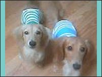 EIN�N������N