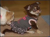 ����݂����