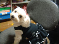 �o��������