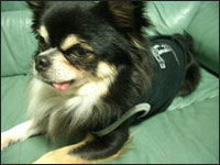 �r�b�V������