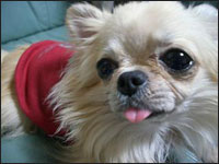 �{������