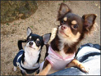 �o�Y����񁕃j�������