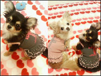 ����������񁕂���݂����