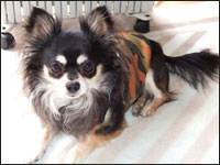 �`���R����