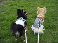 �`���R���񁕂��������